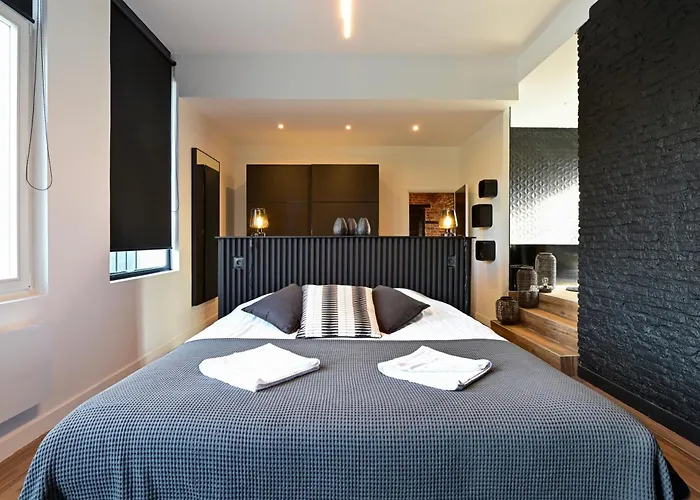 Incroyable Villa 5 Etoiles 7 Minutes Du Centre De Lille